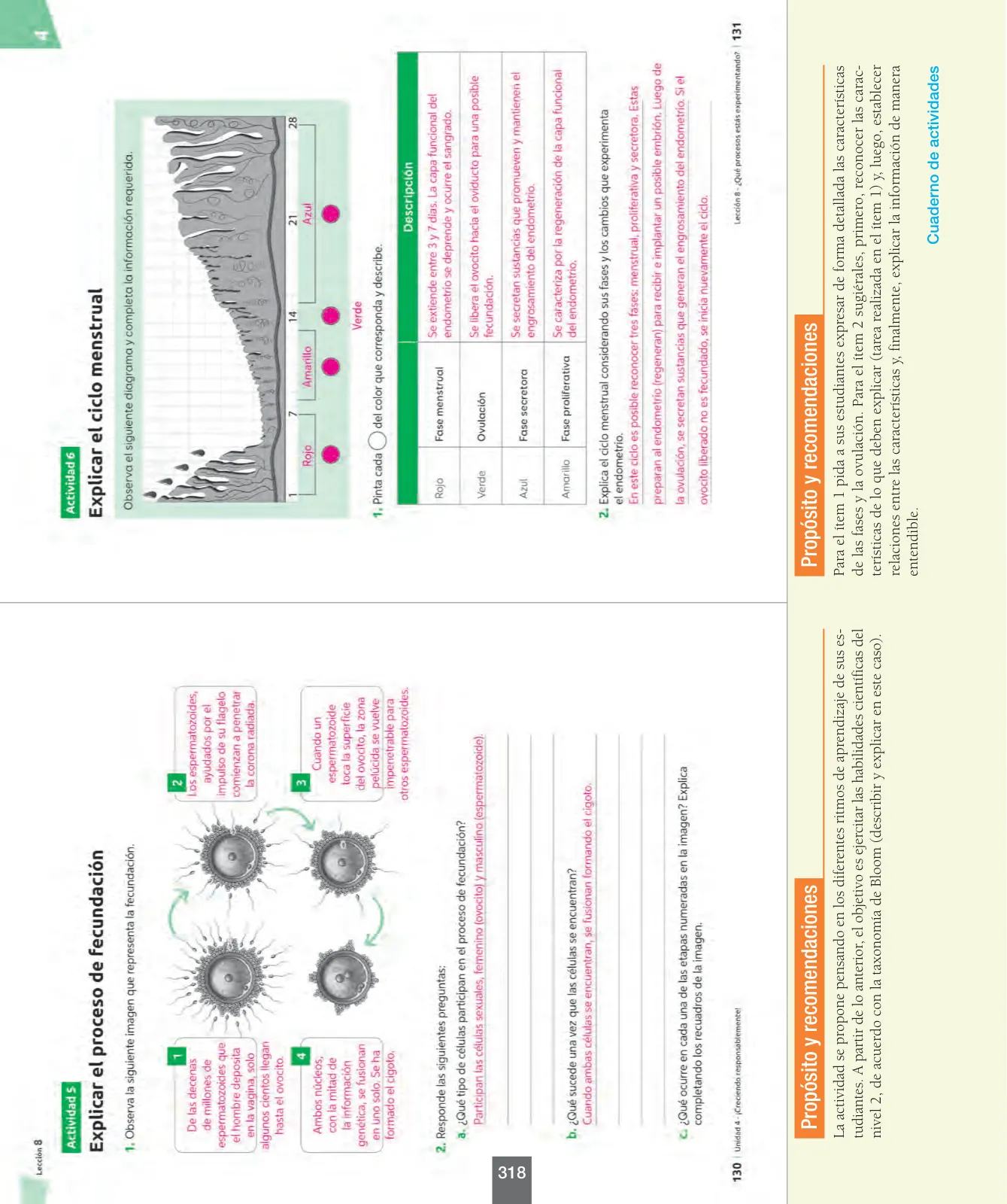 Página 143 de Ciencias Naturales – Séptimo Básico | Texto del Estudiante MINEDUC – Descargar PDF · 2024
