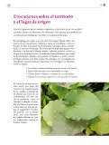 Miniatura página 100 de Colección Nanahuatzin. Lenguajes.   Libro de Educación Secundaria Grado 3°  Ciclo Escolar 2025 - 2026