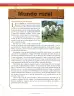 Miniatura página 208 de Matematica 9° · Secundaria Activa