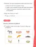 Miniatura página 44 de Lenguaje y Comunicación – Primero Básico | Texto del Estudiante MINEDUC – Descargar PDF · 2024
