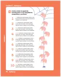 Miniatura página 16 de Matemática – Segundo Básico | Texto del Estudiante MINEDUC – Descargar PDF · 2024