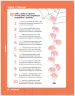 Miniatura página 16 de Matemática – Segundo Básico | Texto del Estudiante MINEDUC – Descargar PDF · 2024