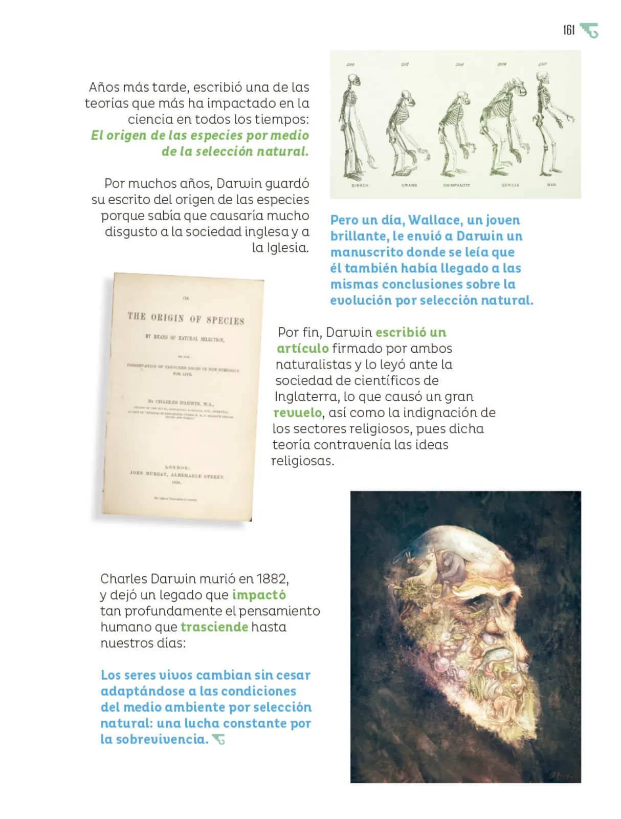Página 162 de Múltiples lenguajes. Libro de Educación Primaria Grado 6° Ciclo Escolar 2025 - 2026