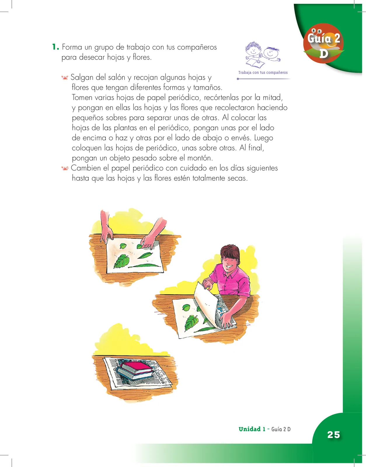 Página 25 de Ciencias Naturales 3° · Cartilla 01