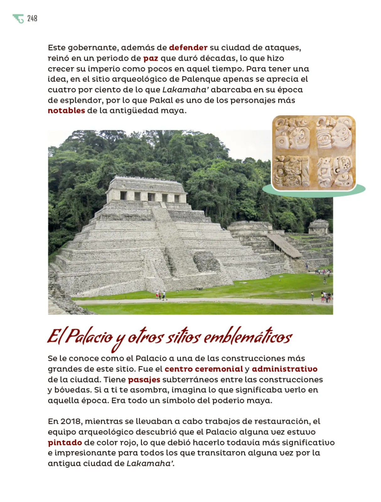 Miniatura página 249 de Múltiples lenguajes.   Libro de Educación Primaria Grado 5°  Ciclo Escolar 2025 - 2026
