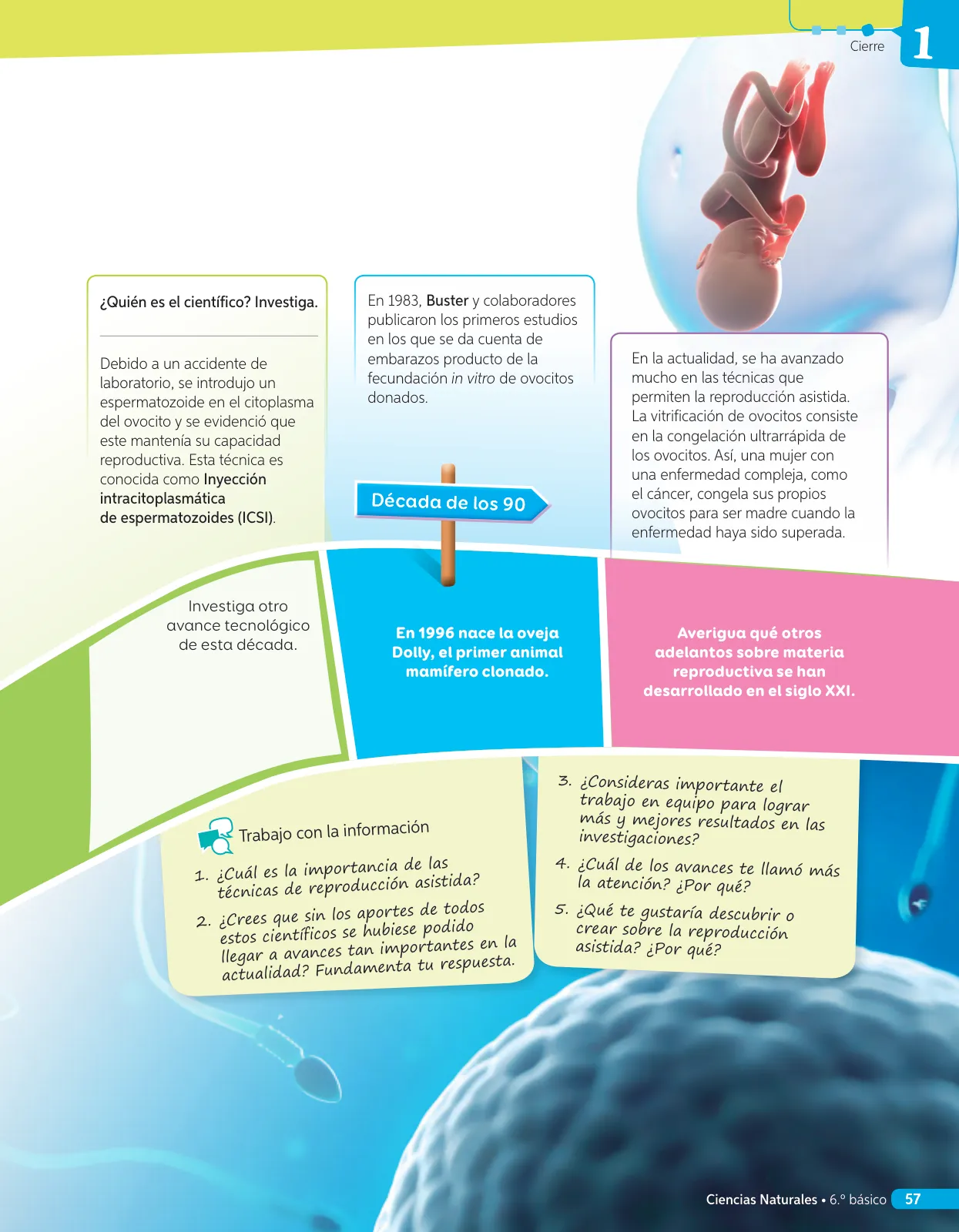 Página 134 de Libro de Ciencias Naturales – Quinto Básico | Texto del Estudiante MINEDUC – Descargar PDF · 2024