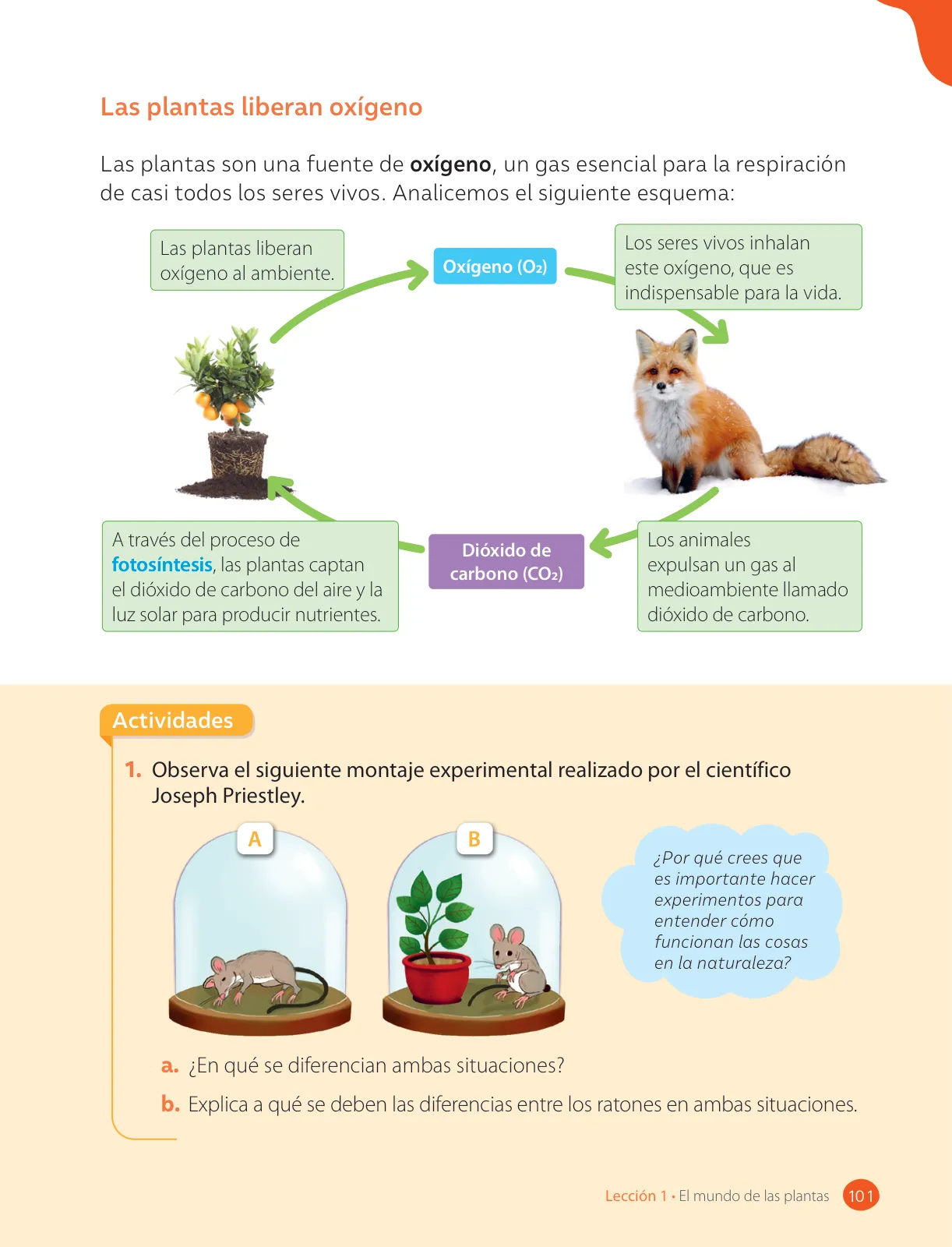 Miniatura página 103 de Ciencias Naturales – Tercero Básico | Texto del Estudiante MINEDUC – Descargar PDF · 2024