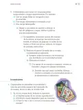 Miniatura página 26 de Proyectos Escolares.   Libro de Educación Primaria Grado 4°  Ciclo Escolar 2025 - 2026