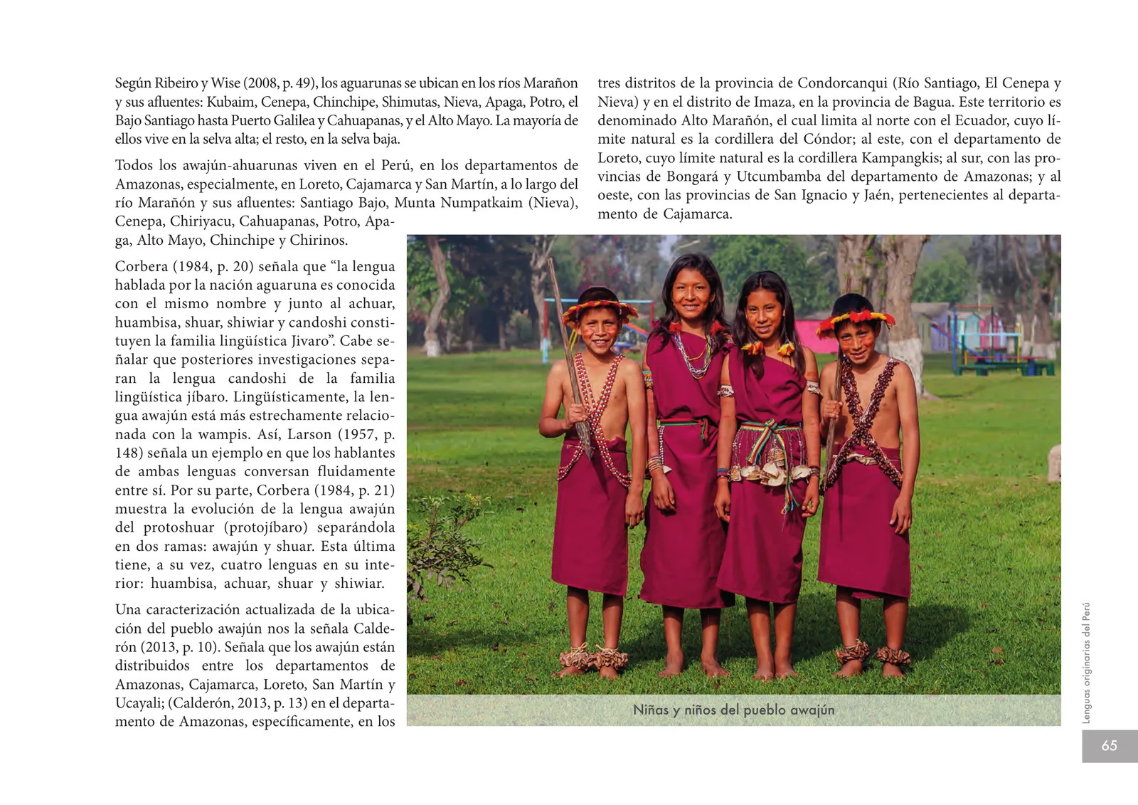 Miniatura página 67 de Lenguas originarias del Perú · 2018