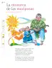 Miniatura página 33 de Múltiples lenguajes.   Libro de Educación Primaria Grado 3°  Ciclo Escolar 2025 - 2026