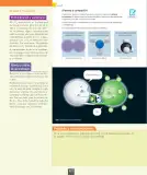 Miniatura página 113 de Ciencias Naturales – Octavo Básico | Texto del Estudiante MINEDUC – Descargar PDF · 2024