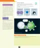 Miniatura página 113 de Ciencias Naturales – Octavo Básico | Texto del Estudiante MINEDUC – Descargar PDF · 2024