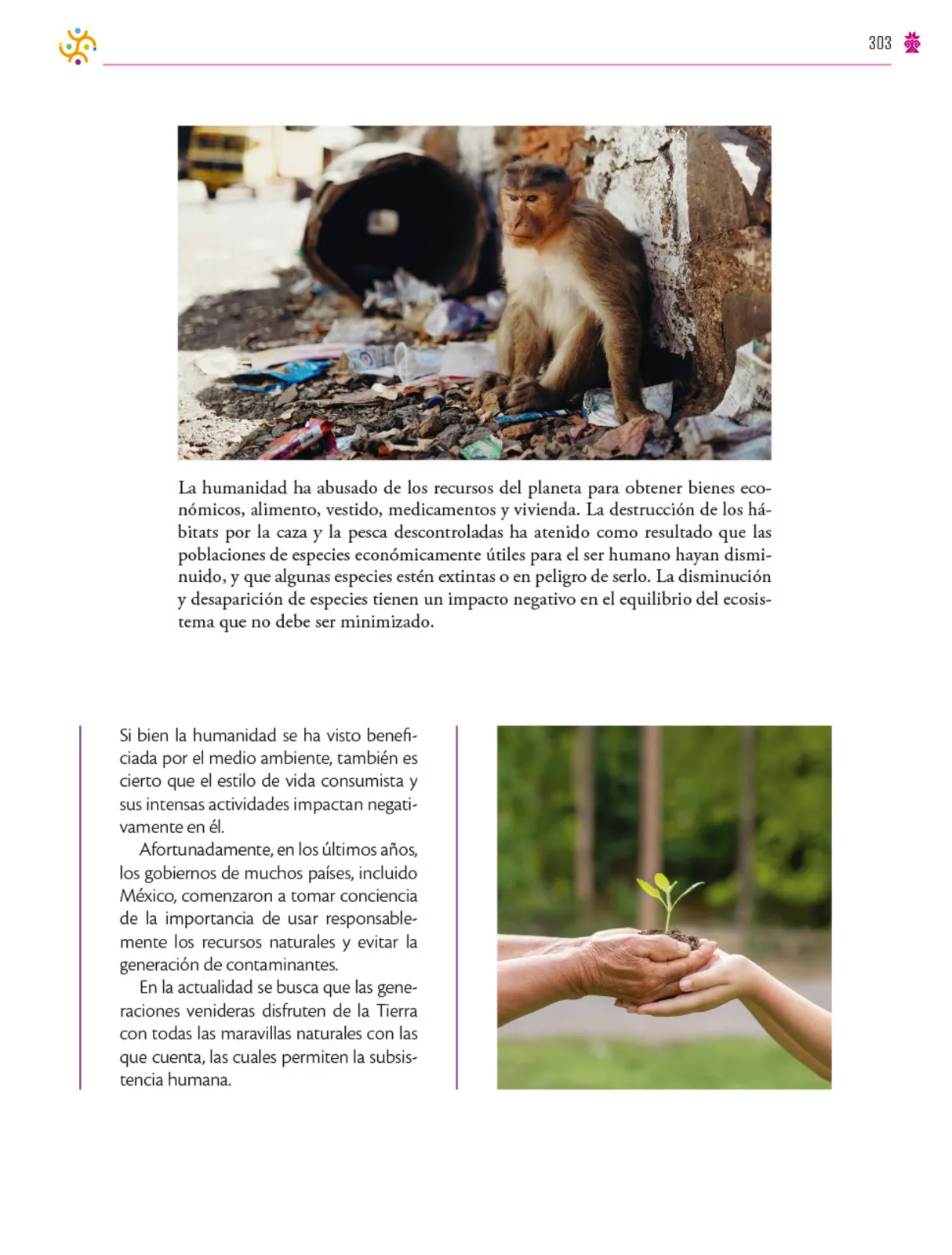 Miniatura página 304 de Colección Nanahuatzin. Saberes y pensamiento científico.   Libro de Educación Secundaria Grado 3°  Ciclo Escolar 2025 - 2026