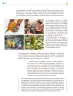 Miniatura página 195 de Colección Ximhai. Saberes y pensamiento científico.   Libro de Educación Telesecundaria Grado 1°  Ciclo Escolar 2025 - 2026