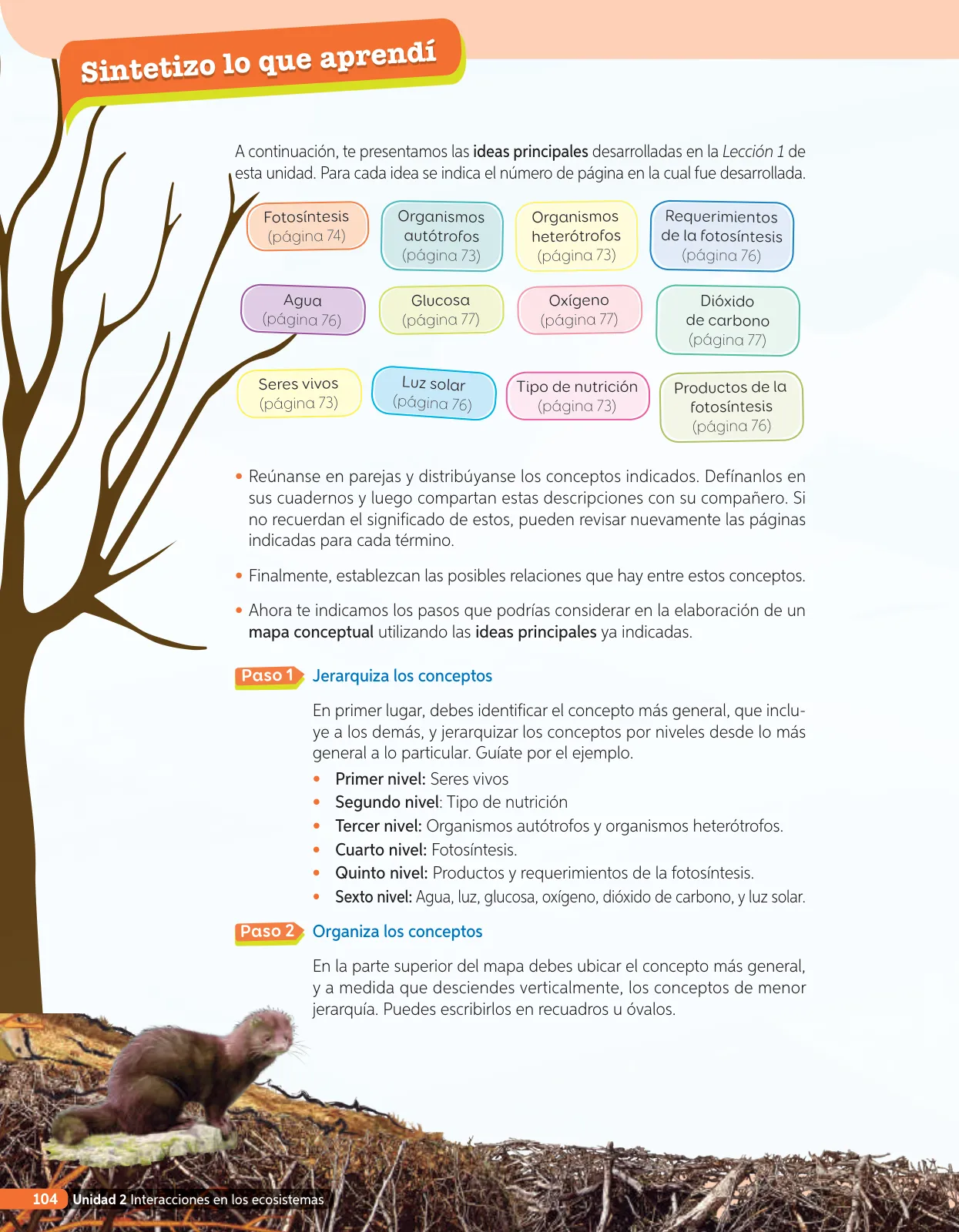 Miniatura página 223 de Libro de Ciencias Naturales – Quinto Básico | Texto del Estudiante MINEDUC – Descargar PDF · 2024
