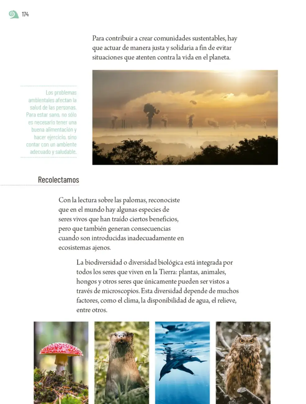 Página 177