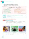 Miniatura página 84 de Lenguaje y Comunicación – Segundo Básico – Texto del Estudiante MINEDUC – Descargar PDF · 2024