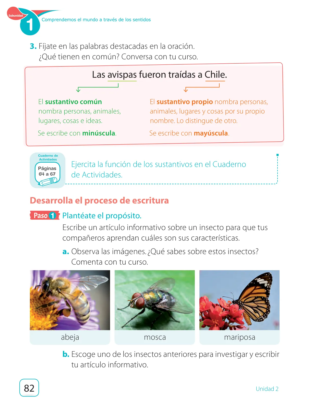 Miniatura página 84 de Lenguaje y Comunicación – Segundo Básico – Texto del Estudiante MINEDUC – Descargar PDF · 2024
