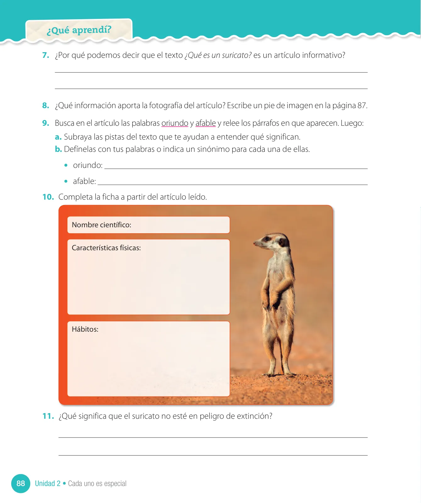 Página 90 de Lenguaje y Comunicación – Cuarto Básico | Texto del Estudiante MINEDUC – Descargar PDF · 2024