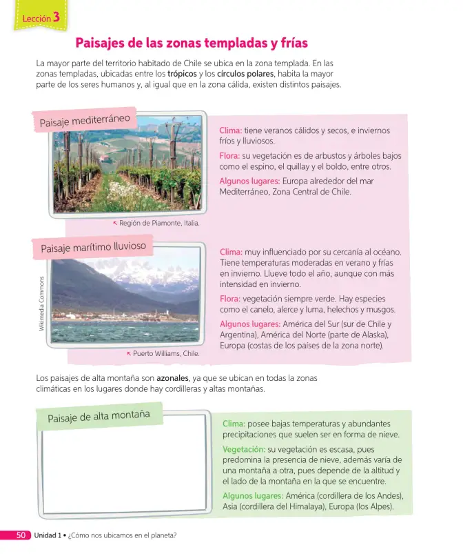 Página 111 de Historia, Geografía y Ciencias Sociales – Tercero Básico | Texto del Estudiante MINEDUC – Descargar PDF · 2024