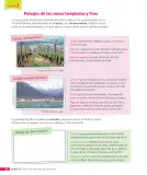 Miniatura página 111 de Historia, Geografía y Ciencias Sociales – Tercero Básico | Texto del Estudiante MINEDUC – Descargar PDF · 2024