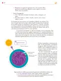 Miniatura página 225 de Colección Sk´asolil. Saberes y pensamiento científico.   Libro de Educación Secundaria Grado 2°  Ciclo Escolar 2025 - 2026