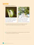 Miniatura página 164 de Ciencias Naturales – Cuarto Básico | Texto del Estudiante MINEDUC – Descargar PDF · 2024