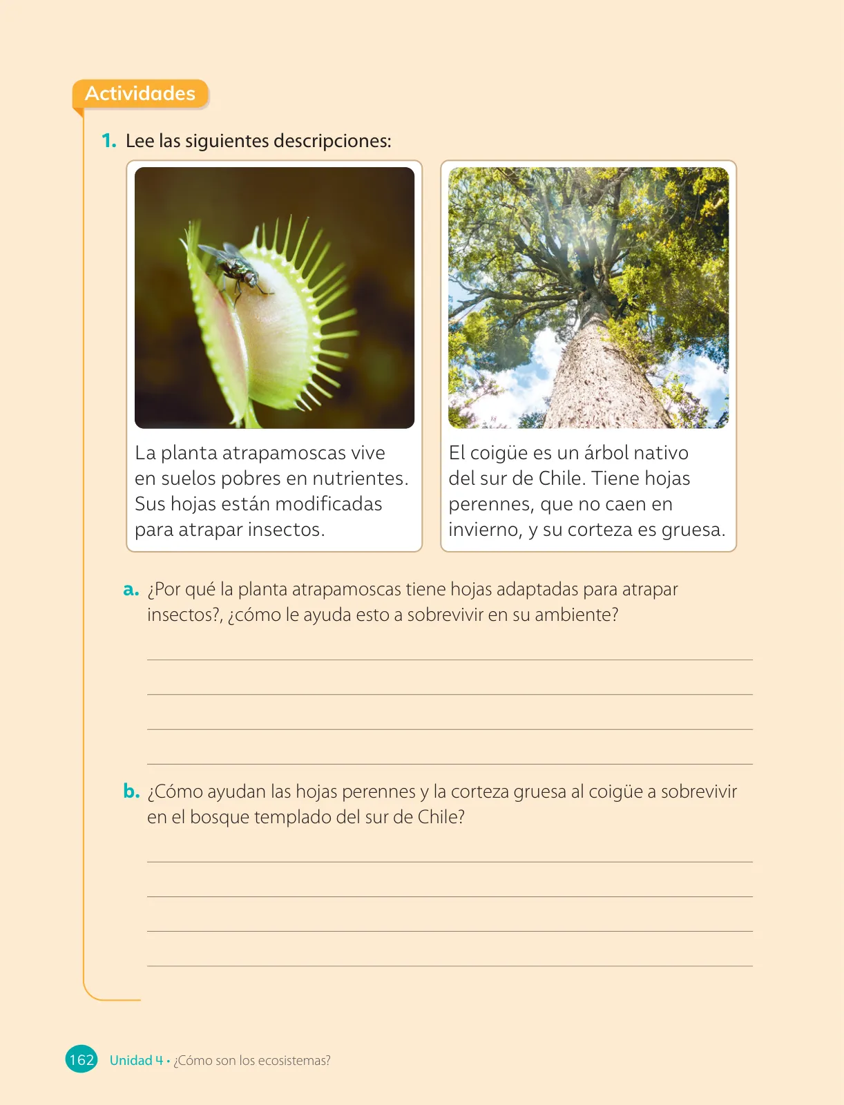 Miniatura página 164 de Ciencias Naturales – Cuarto Básico | Texto del Estudiante MINEDUC – Descargar PDF · 2024