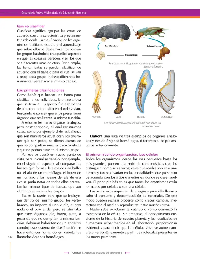 Página 182 de Ciencias Naturales 9° · Secundaria Activa
