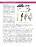 Miniatura página 182 de Ciencias Naturales 9° · Secundaria Activa