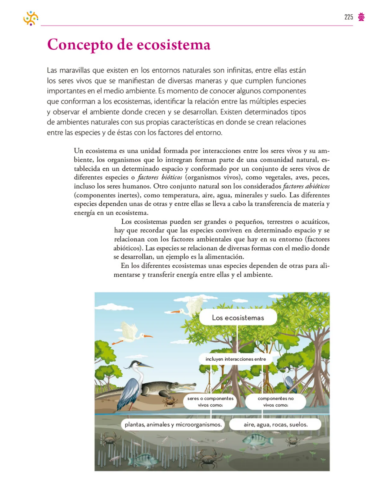 Página 226 de Colección Ximhai. Saberes y pensamiento científico.   Libro de Educación Secundaria Grado 1°  Ciclo Escolar 2025 - 2026