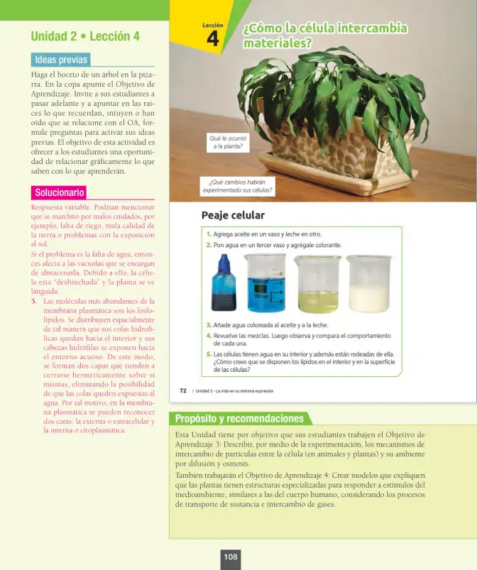 Página 109 de Ciencias Naturales – Octavo Básico | Texto del Estudiante MINEDUC – Descargar PDF · 2024