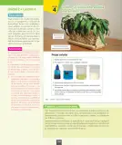 Miniatura página 109 de Ciencias Naturales – Octavo Básico | Texto del Estudiante MINEDUC – Descargar PDF · 2024