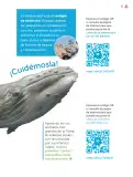 Miniatura página 28 de Múltiples lenguajes.   Libro de Educación Primaria Grado 3°  Ciclo Escolar 2025 - 2026