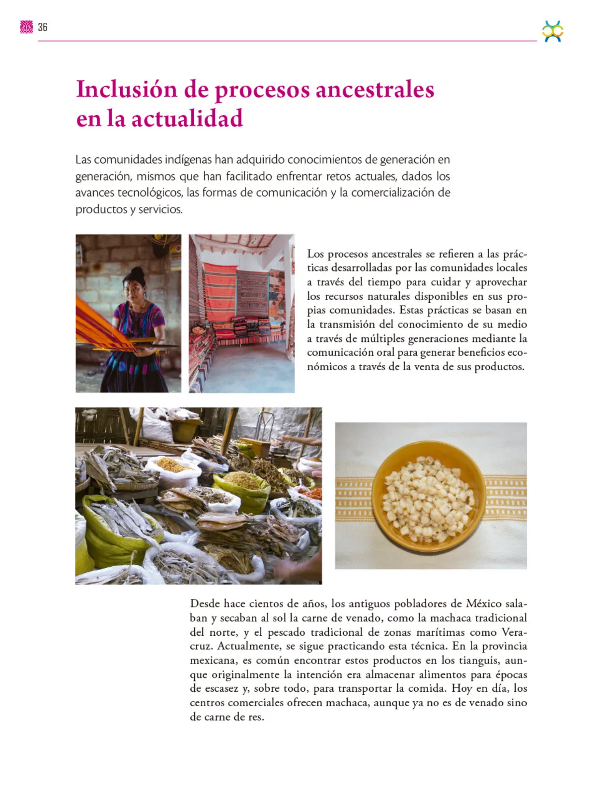 Página 37 de Colección Nanahuatzin. De lo humano y lo comunitario.   Libro de Educación Secundaria Grado 3°  Ciclo Escolar 2025 - 2026