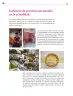 Miniatura página 37 de Colección Nanahuatzin. De lo humano y lo comunitario.   Libro de Educación Secundaria Grado 3°  Ciclo Escolar 2025 - 2026