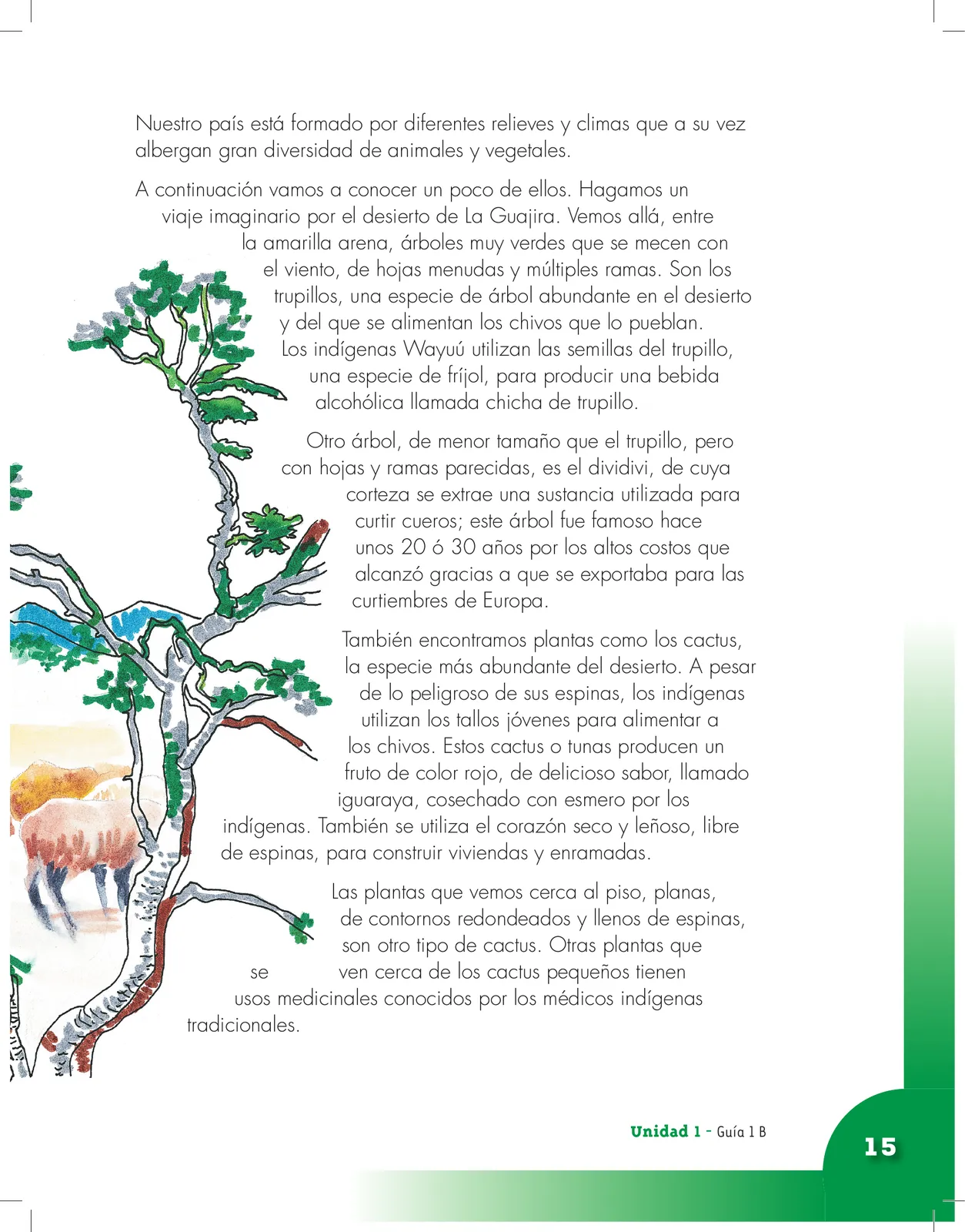 Miniatura página 15 de Ciencias Naturales 3° · Cartilla 01