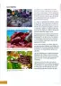 Miniatura página 11 de Ciencias Naturales 4° · Egb 4 Ciencias Naturales 2025 · 2025