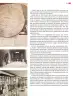 Miniatura página 36 de Colección Ximhai. Múltiples lenguajes.   Libro de Educación Secundaria Grado 1°  Ciclo Escolar 2025 - 2026