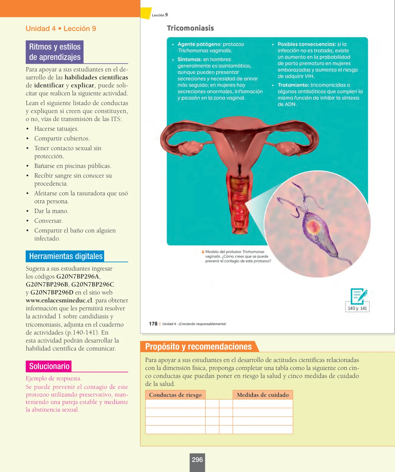 Miniatura página 121 de Ciencias Naturales – Séptimo Básico | Texto del Estudiante MINEDUC – Descargar PDF · 2024