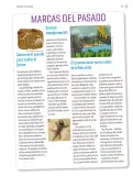 Miniatura página 14 de Proyectos Escolares.   Libro de Educación Primaria Grado 4°  Ciclo Escolar 2025 - 2026
