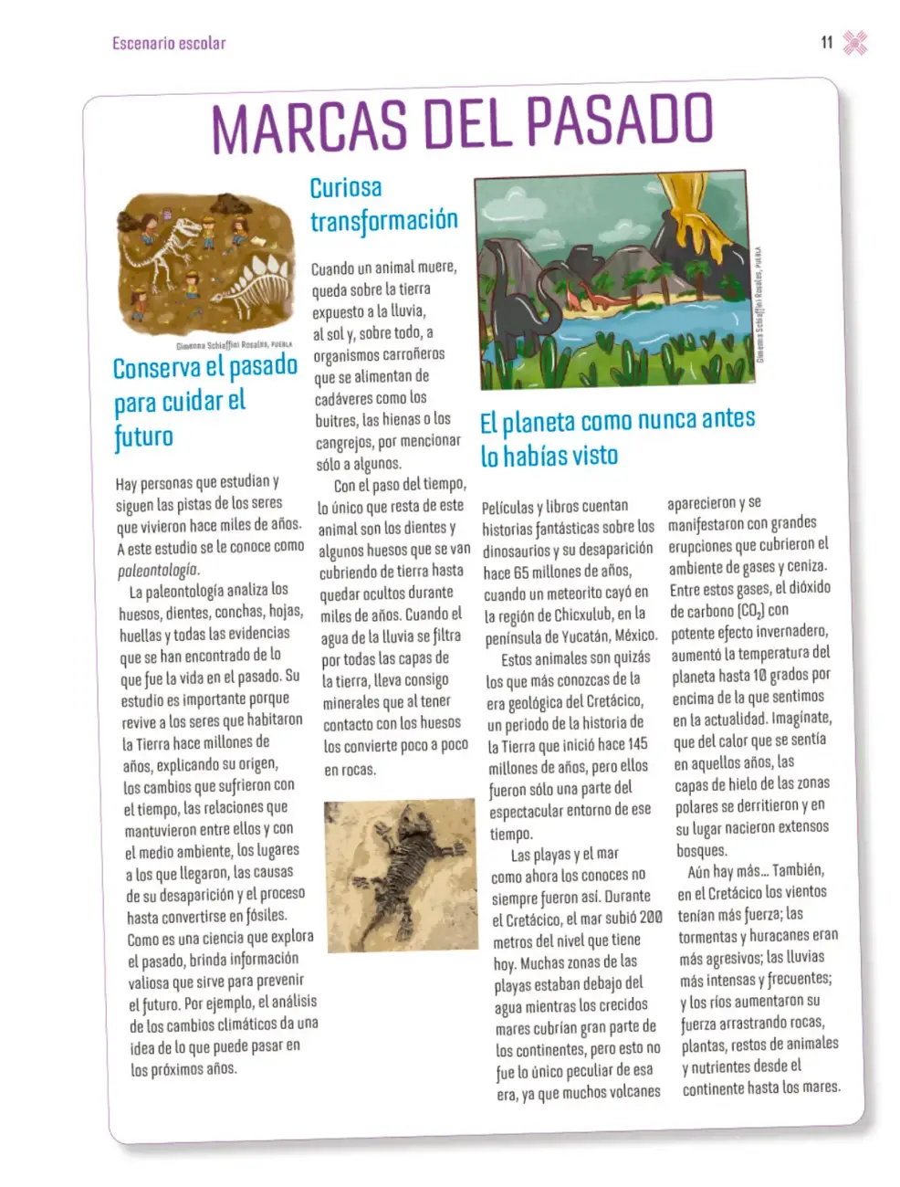 Página 14