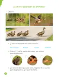 Miniatura página 72 de Ciencias Naturales – Primero Básico | Texto del Estudiante (MINEDUC) – Descargar PDF · 2024