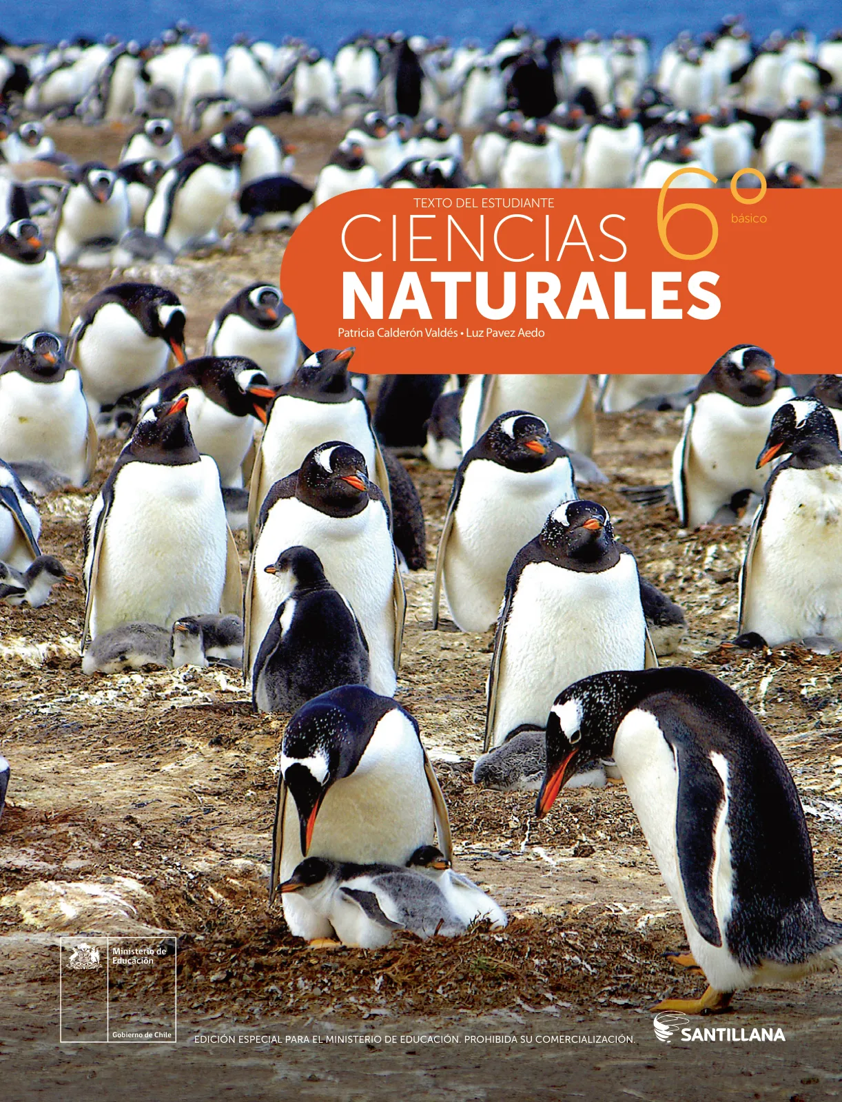 Portada de Libro de Ciencias Naturales – Quinto Básico | Texto del Estudiante MINEDUC – Descargar PDF · 2024