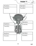 Miniatura página 137 de Libro de Ciencias Naturales – Quinto Básico | Texto del Estudiante MINEDUC – Descargar PDF · 2024
