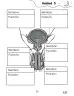 Miniatura página 137 de Libro de Ciencias Naturales – Quinto Básico | Texto del Estudiante MINEDUC – Descargar PDF · 2024