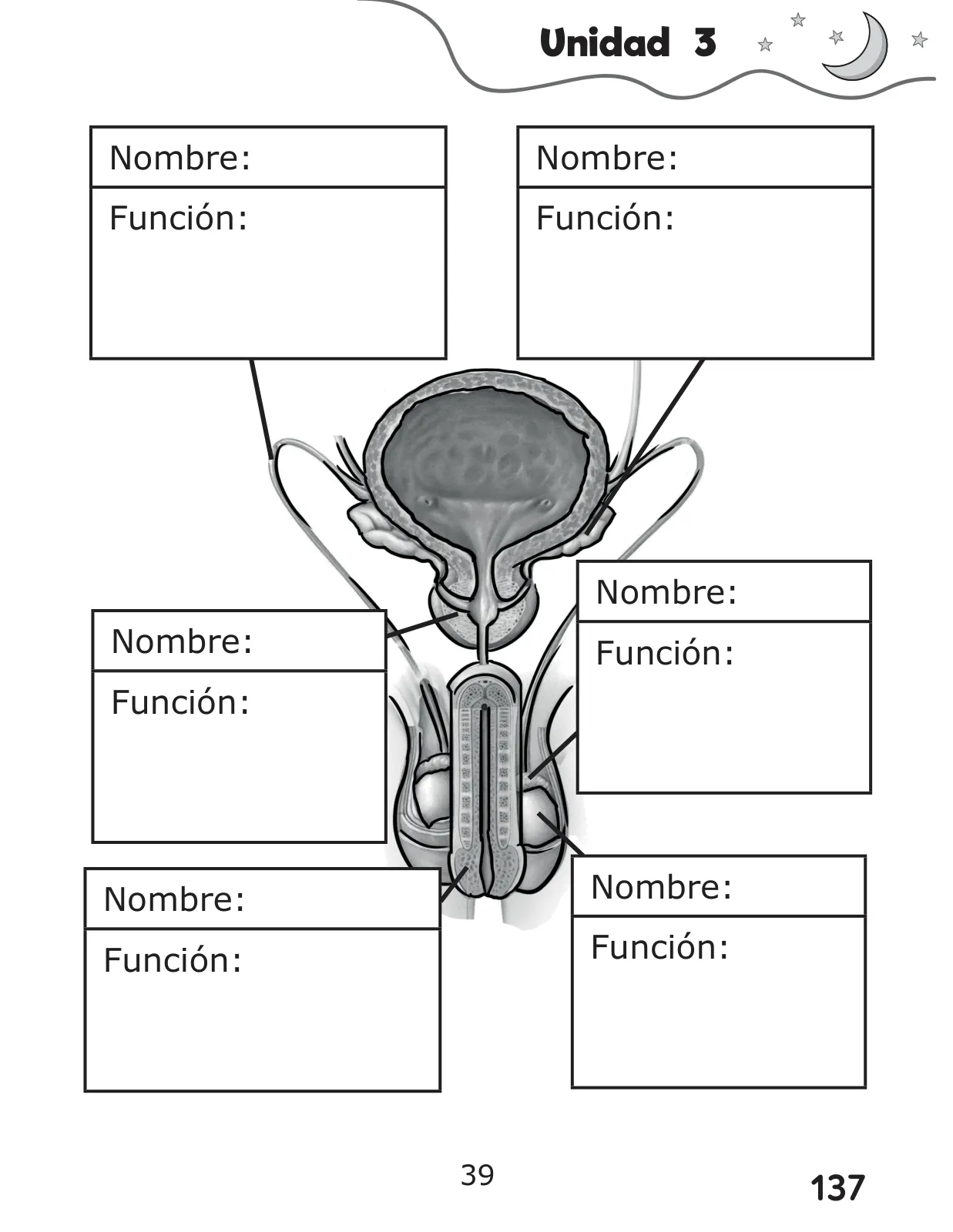 Miniatura página 137 de Libro de Ciencias Naturales – Quinto Básico | Texto del Estudiante MINEDUC – Descargar PDF · 2024