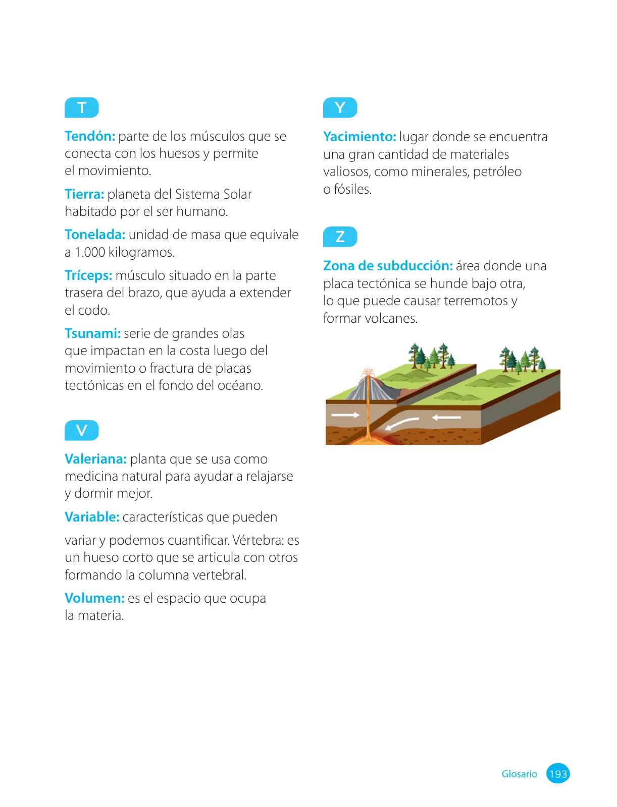 Página 195 de Ciencias Naturales – Cuarto Básico | Texto del Estudiante MINEDUC – Descargar PDF · 2024