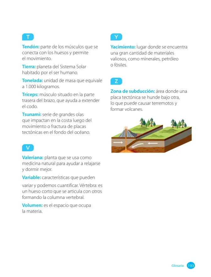 Página 195 de Ciencias Naturales – Cuarto Básico | Texto del Estudiante MINEDUC – Descargar PDF · 2024