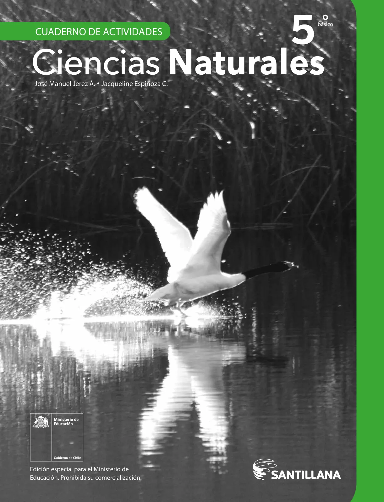 Portada de Libro de Ciencias Naturales – Quinto Básico | Texto del Estudiante MINEDUC – Descargar PDF · 2024